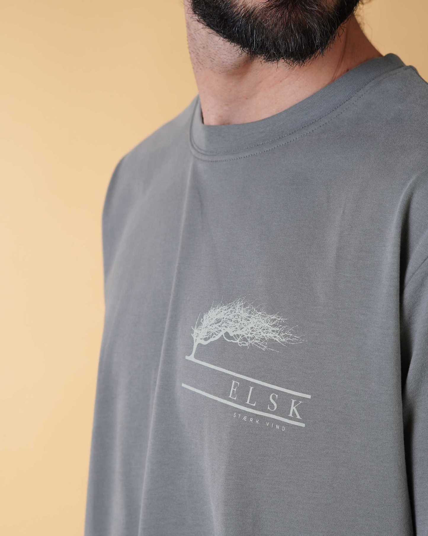 STÆRK VIND CH 01118