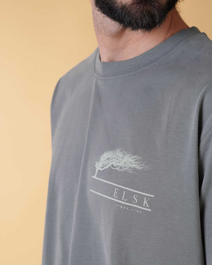 STÆRK VIND CH 01118