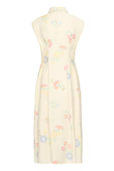 Ichi-IHGINNI DR
