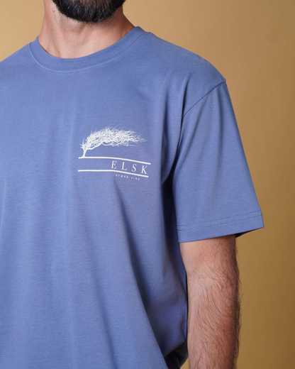 STÆRK VIND CH 01118